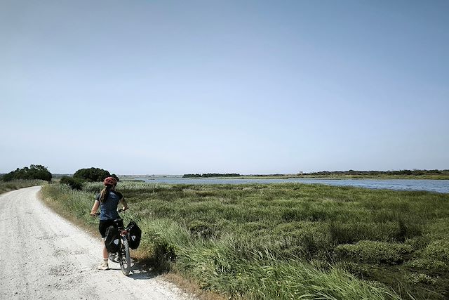 Voyage De Porto à Lisbonne à vélo, tradition & romantisme