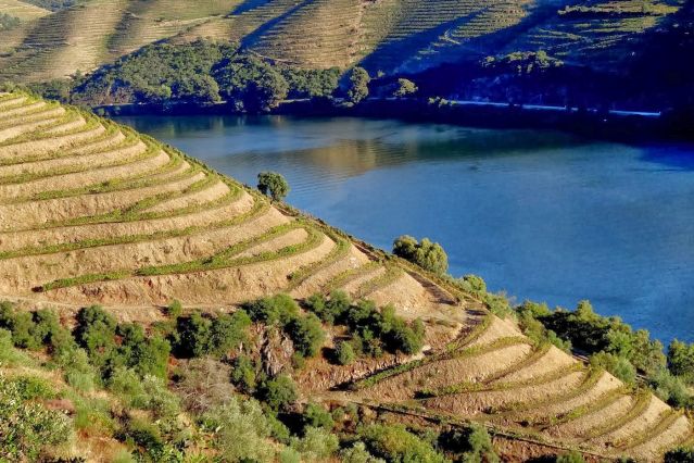 Portugal : Forêts, collines, rivières et lacs