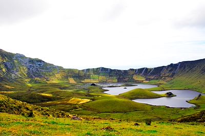 © Alexandre Visinoni - Parc naturel de Caldeira - Açores Parc naturel de Caldeira - Açores