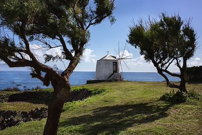 © Carl Uytterhaegen / Turismo de Acores - Moulin traditionnel - Corvo - Acores - Portugal Moulin traditionnel - Corvo - Acores - Portugal