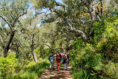 © Turismo de Portugal - Randonnée dans le massif de Monchique - Portugal Randonnée dans le massif de Monchique - Portugal