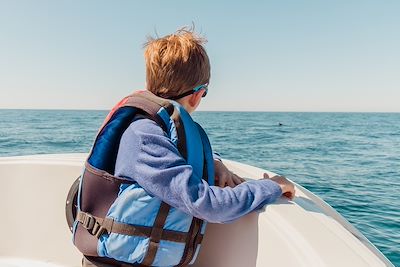 © Rebecca Spencer / Stocksy - Observation des dauphins Observation des dauphins