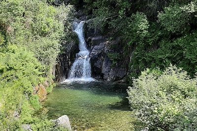 Vale de Cambra - Portugal