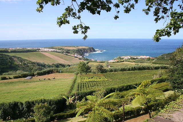 Bord de mer et îles : Escale à São Miguel Voyage Escale à São Miguel