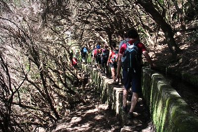  Randonnée vers Rabaçal, Madère - Portugal