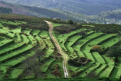 Terrasse de Monchique - Algarve - Portugal