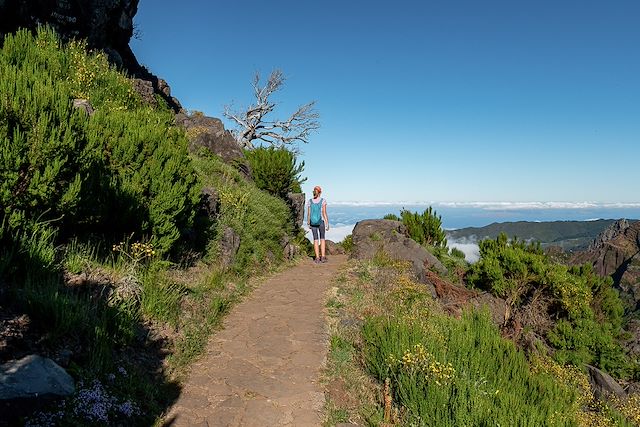 Voyage Madère en famille : un vent de liberté