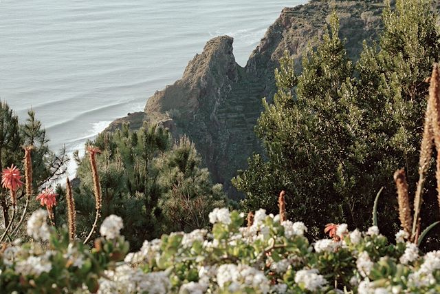 Voyage Panorama de Madère