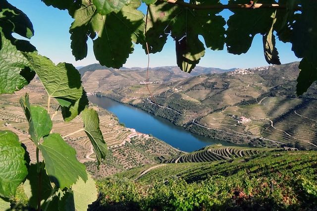 Voyage Lumières de Porto, quintas du Douro