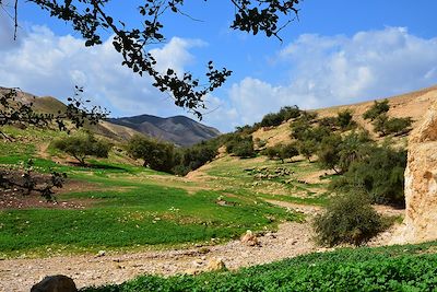 Sentier d'Abraham - Palestine