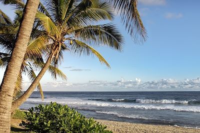 © Frog 974/stock.adobe.com - Plage de Grande-Anse - La Réunion Plage de Grande-Anse - La Réunion