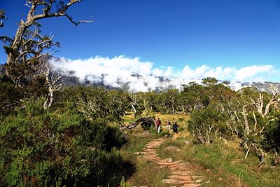 Voyage Randonnée sur l'île volcan 2