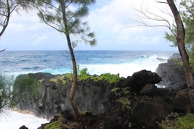 © Glwadys Malnoe et Manon Pointeaux - Pointe du Tremblet - La Réunion Pointe du Tremblet - La Réunion