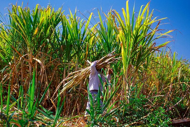 Voyage La Réunion en douceur, balades et saveurs créoles