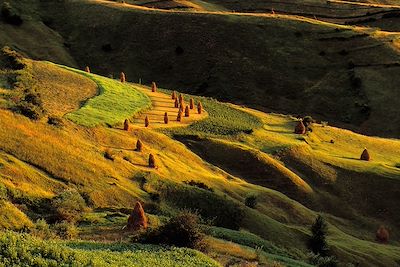 © GARDEL Bertrand / hemis.fr - Vallée de l'Iza - Maramures - Roumanie Vallée de l'Iza - Maramures - Roumanie