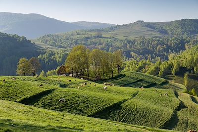 © alexionutcoman / iStock - Paysage dans les Monts Apuseni - Roumanie Paysage dans les Monts Apuseni - Roumanie