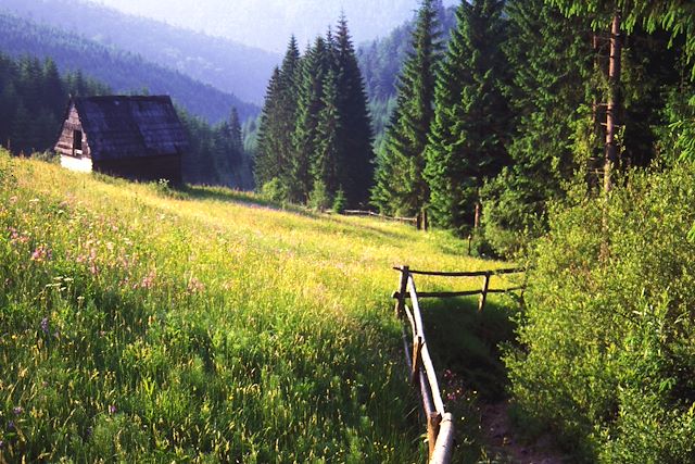 Voyage Maramures, Transylvanie, Monts Apuseni