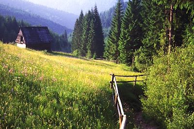 Maramures - Bucovine - Roumanie