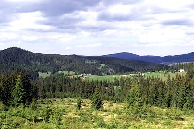 Maramures - Bucovine - Roumanie