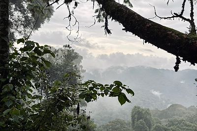 Rwanda