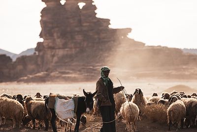 Voyage Sur les traces des nabatéens d'Hegra à Pétra 1