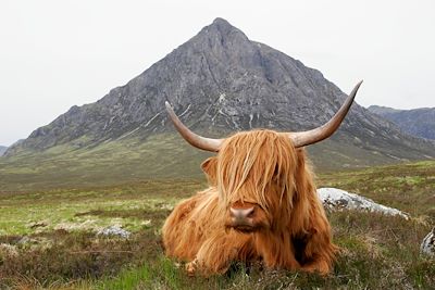 Highlands - Ecosse