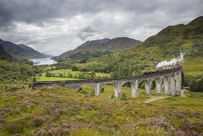 Train - Glenfinnan - The Highlands - Ecosse - Royaume-Uni