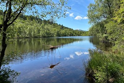 Libellule - Lochan Spling - Ecosse - Royaume-Uni