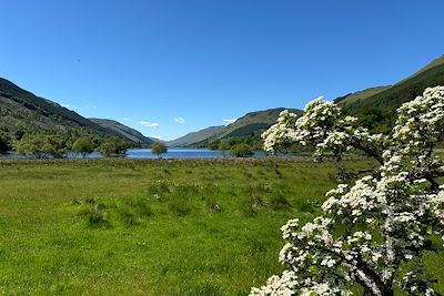 Loch Voil - Ecosse - Royaume-Uni