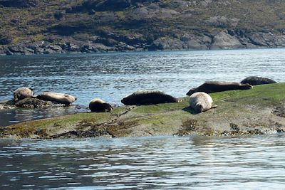 © Lisa Chauprade - Ile de Skye - Ecosse Ile de Skye - Ecosse