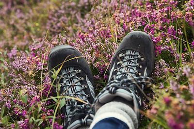 Chaussures de randonnée dans des fleurs - Ecosse - Royaume-Uni