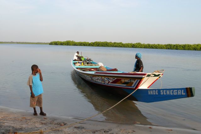 Voyage Vie sauvage dans le delta du Siné Saloum 1