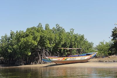 Pirogue sur les rives du fleuve Casamance - Sénégal