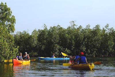 Kayak dans la mangrove - Presqu'île d'Egueye - Sénégal