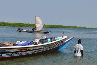 Île de Dionewar - Sénégal