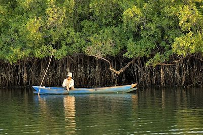 © Franck GUIZIOU/ hemis.fr - Pêcheur au milieu de mangroves - Sénégal Pêcheur au milieu de mangroves - Sénégal