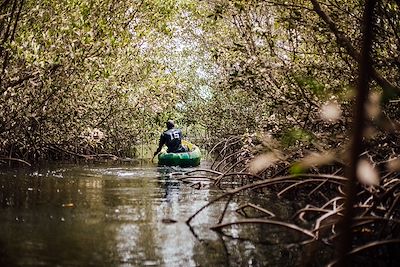 © Amélie Blondiaux / Hellolaroux - Kayak à travers la mangrove - Sénégal Kayak à travers la mangrove - Sénégal