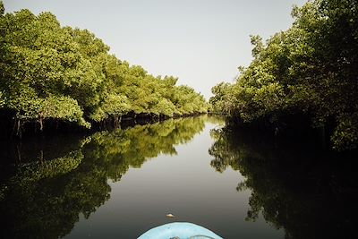 © Amélie Blondiaux / Hellolaroux - Delta du Siné Saloum - Sénégal Delta du Siné Saloum - Sénégal