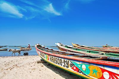 Voyage Bord de mer et îles Sénégal