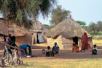 Voyage Vie sauvage dans le delta du Siné Saloum 1