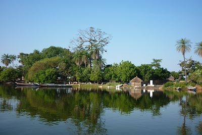 Voyage Vie sauvage dans le delta du Siné Saloum 2