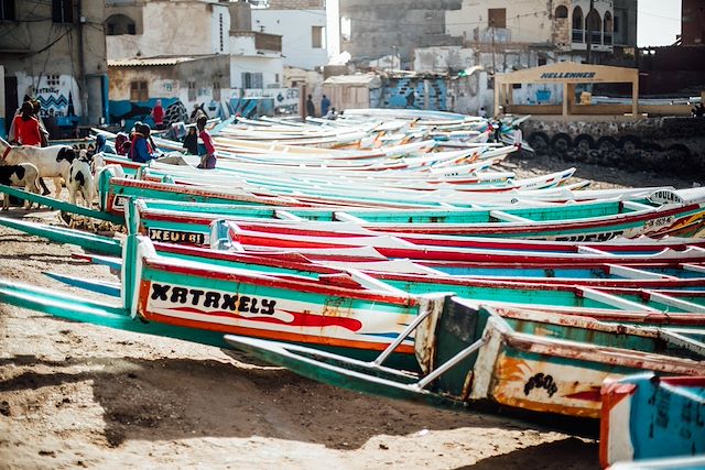 Voyage : Vie sauvage dans le delta du Siné Saloum Voyage Vie sauvage dans le delta du Siné Saloum