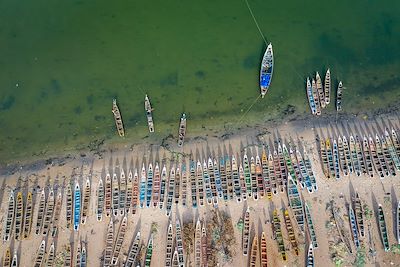 Vie sauvage dans le delta du Siné Saloum