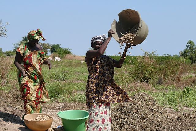 Brousse et Savane : Randonnée au pays des griots Voyage Randonnée au pays des griots