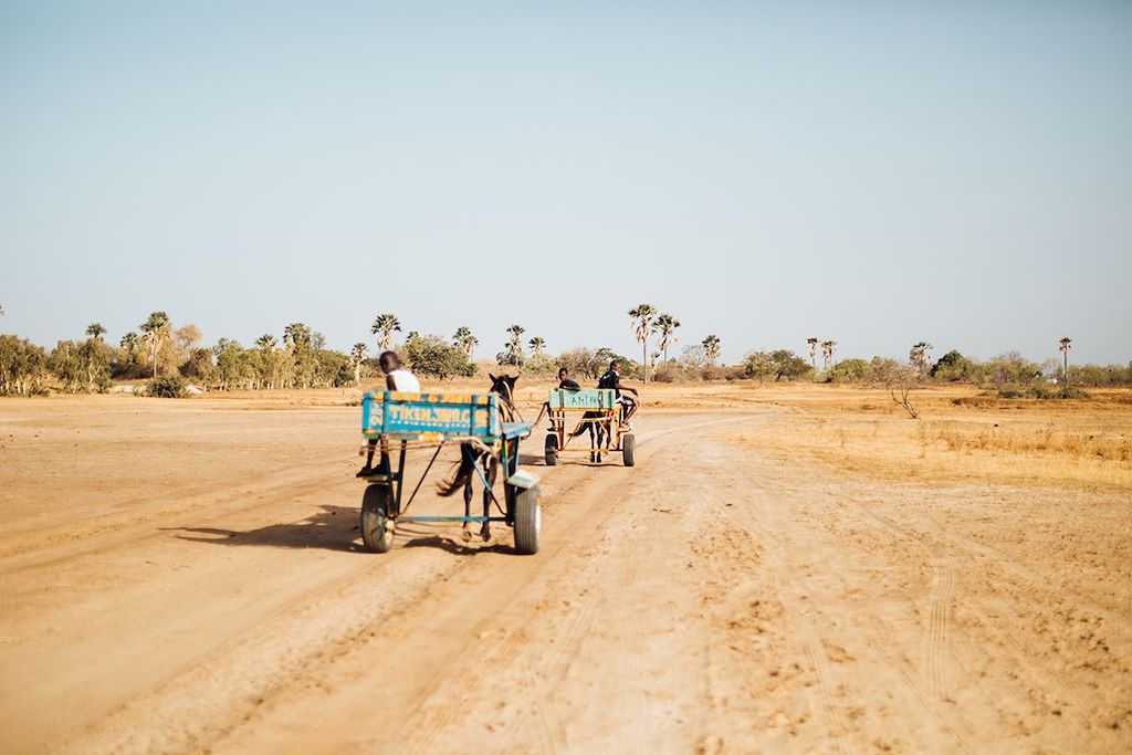 Voyage Sénégal