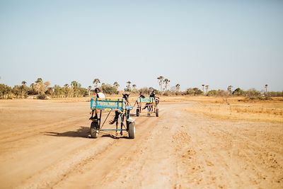 © Amélie Blondiaux / Hellolaroux - À travers la brousse pour rejoindre Mar Fafako - Sénégal À travers la brousse pour rejoindre Mar Fafako - Sénégal