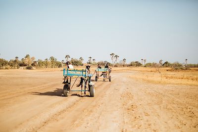 Voyage Randonnée au pays des griots 1