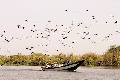 Sénégal authentique : Djoudj, Saint-Louis, Gorée