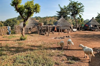 Village Bassari près de Kédougou - Sénégal 