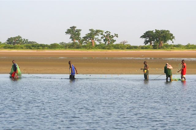 Découverte Sénégal